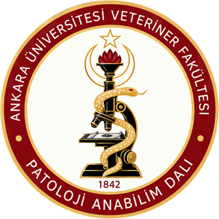 Ankara Üniversitesi Veteriner Fakültesi Patoloji Anabilim Dalı logosu